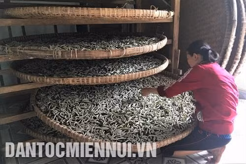 Nhà nuôi tằm phải đảm bảo nhiệt độ thích hợp, có cửa lưới ở cửa sổ và cửa ra vào để không khí lưu thông, đồng thời tránh côn trùng bay vào. Ảnh: Khoa Trương