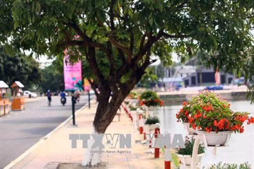 Dọc phố đi bộ Trịnh Công Sơn có hai hồ điều hòa tự nhiên có cây, hàng rào sắt và trang trí bằng nhiều bình hòa rực rỡ màu sắc. Ảnh: Quang Quyết - TTXVN
