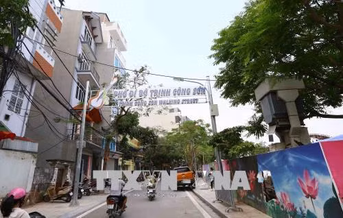 Khai trương tuyến phố đi bộ Trịnh Công Sơn tại Hà Nội ảnh 1