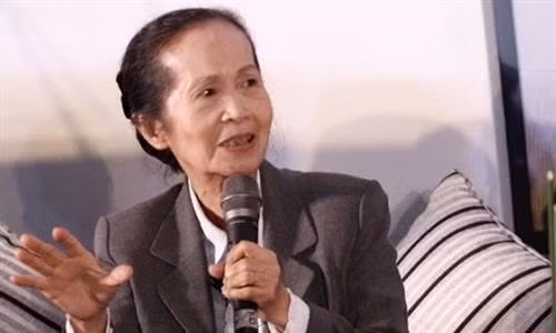 Chuyên gia kinh tế Phạm Chi Lan. Ảnh: viettimes.vn