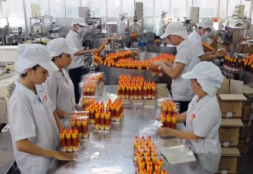 Hơn 95% công nhân của Công ty cổ phần thực phẩm cholimex, khu công nghiệp Vĩnh Lộc A, Thành phố Hồ Chí Minh đã trở lại làm việc sau kỳ nghỉ Tết và phấn đấu đạt sản lượng gần 200 triệu sản phẩm các loại với doanh thu khoảng 1800 tỷ đồng trong năm 2017. Ảnh: An Hiếu - TTXVN