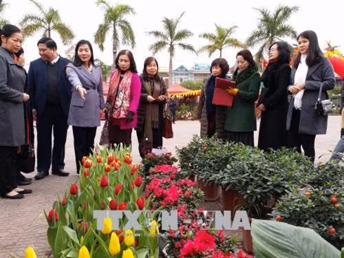 Các đại biểu tham quan các gian trưng bày hoa, cây cảnh tại Hội hoa Xuân Hoành Bồ. Ảnh: Trung Nguyên - TTXVN