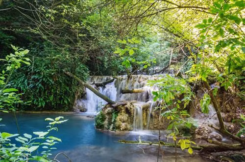 Thảm thực vật tươi tốt bao quanh thác nước Krushuna ở Bulgaria. Tại đây, nhiệt độ nước ở ngưỡng 58 độ C, được các chuyên gia cho biết rất tốt với người mắc chứng thấp khớp hoặc những bệnh về da.