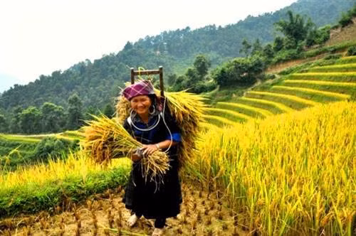 11 thói quen ‘bình dân’ nhưng giúp bạn sống lâu và hạnh phúc ảnh 8