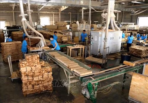 Sản xuất, chế biến gỗ tại Công ty TNHH khai thác, chế biến lâm sản Đà Lạt (Lâm Đồng). Ảnh: Vũ Sinh – TTXVN
