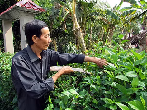 Ý thức của người dân là điều kiện tiên quyết để Tân Phước Hưng xây dựng thành công những tuyến đường đẹp.