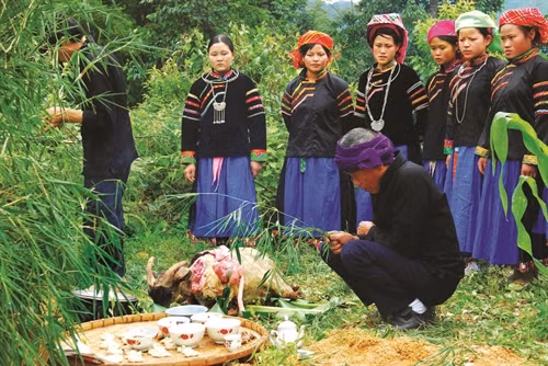 Lễ cúng bắt đầu