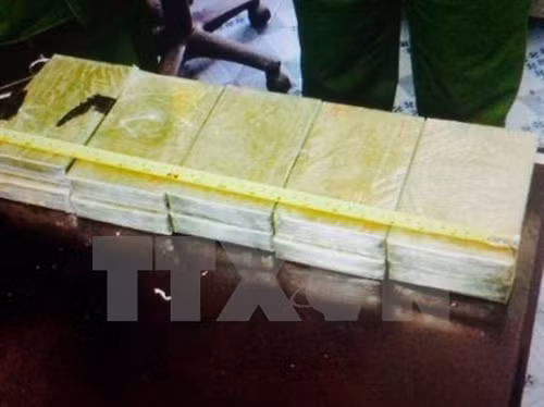 (Ảnh minh họa: Trịnh Duy Hưng/TTXVN)