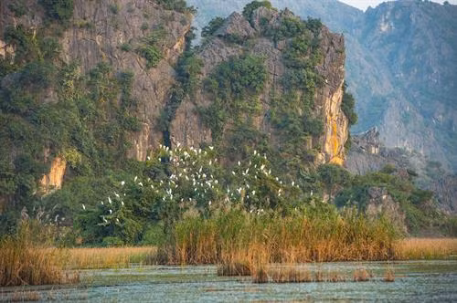 Chiều về trên đầm Vân Long. Cò, vạc và các loại chim nước về đây, sống và kiếm ăn ở hệ sinh thái ngập nước Vân Long vào mùa khô. Mỗi dịp đông đến Vân Long lại tràn ngập sắc trắng của những đàn cò trắng lên đến cả nghìn con bay về trú ngụ tạo nên khung cảnh nên thơ. Hàng nghìn loài chim, cò, vạc các loại tựu về đây, sống chen chúc trên những thảm rừng nguyên sinh trên núi đá vôi, hoặc kiếm sống ở các hệ sinh thái dưới ngập nước… Tiếng kêu của chúng làm xôn xao cả một vùng không gian vốn tĩnh lặng. Mỗi dịp đông đến Vân Long lại tràn ngập sắc trắng của những đàn cò trắng lên đến cả nghìn con bay về trú ngụ ... tạo nên khung cảnh vô cùng nên thơ. Đầm Vân Long Những khu rừng tràm tại Vân Long là nơi trú ngụ của những đàn cò lớn, là nơi ghỉ ngơi của chúng sau mỗi ngày kiếm ăn.