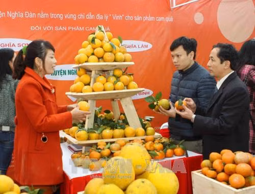 Đông đảo người dân và du khách đến hội chợ thăm quan, tìm hiểu và mua bán các sản phẩm từ cam. Ảnh: Thanh Tùng-TTXVN