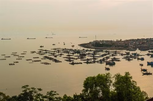Nghi Sơn giàu tiềm năng du lịch ảnh 10
