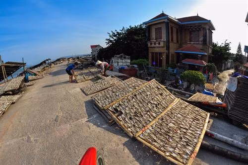 Cá khô được người dân đánh bắt về chế biến, phơi khô trên khắp các lối đi mỗi thôn xóm. Ảnh: Trọng Đạt - TTXVN Cá khô được người dân đánh bắt về chế biến, phơi khô trên khắp các lối đi mỗi thôn xóm. Ảnh: Trọng Đạt - TTXVN Bến thuyền tấp nập mỗi khi cá về vào buổi sáng hoặc chiều trên đảo Nghi Sơn. Ảnh: Trọng Đạt - TTXVN Một góc bến thuyền trên xã đảo Nghi Sơn và khu vực cầu cảng nước sâu Nghi Sơn. Ảnh: Trọng Đạt - TTXVN Bến thuyền tấp nập mỗi khi cá về vào buổi sáng hoặc chiều trên đảo Nghi Sơn. Ảnh: Trọng Đạt - TTXVN Một góc xã đảo Nghi Sơn bên biển xanh thơ mộng. Ảnh: Trọng Đạt - TTXVN Bến thuyền trên xã đảo Nghi Sơn. Ảnh: Trọng Đạt - TTXVN Nhộn nhịp bến thuyền trên xã đảo Nghi Sơn. Ảnh: Trọng Đạt - TTXVN Chiều về trên cảng cá Nghi Sơn. Ảnh: Trọng Đạt - TTXVN