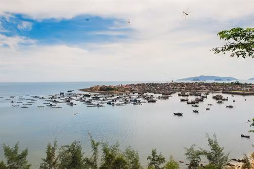 Cá khô được người dân đánh bắt về chế biến, phơi khô trên khắp các lối đi mỗi thôn xóm. Ảnh: Trọng Đạt - TTXVN Cá khô được người dân đánh bắt về chế biến, phơi khô trên khắp các lối đi mỗi thôn xóm. Ảnh: Trọng Đạt - TTXVN Bến thuyền tấp nập mỗi khi cá về vào buổi sáng hoặc chiều trên đảo Nghi Sơn. Ảnh: Trọng Đạt - TTXVN Một góc bến thuyền trên xã đảo Nghi Sơn và khu vực cầu cảng nước sâu Nghi Sơn. Ảnh: Trọng Đạt - TTXVN Bến thuyền tấp nập mỗi khi cá về vào buổi sáng hoặc chiều trên đảo Nghi Sơn. Ảnh: Trọng Đạt - TTXVN Một góc xã đảo Nghi Sơn bên biển xanh thơ mộng. Ảnh: Trọng Đạt - TTXVN Bến thuyền trên xã đảo Nghi Sơn. Ảnh: Trọng Đạt - TTXVN Nhộn nhịp bến thuyền trên xã đảo Nghi Sơn. Ảnh: Trọng Đạt - TTXVN Chiều về trên cảng cá Nghi Sơn. Ảnh: Trọng Đạt - TTXVN