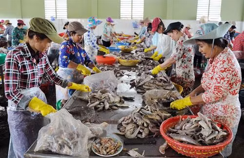 Sơ chế cá tại một doanh nghiệp sản xuất thủy hải sản xuất khẩu của thị trấn Định An, Huyện Trà Cú