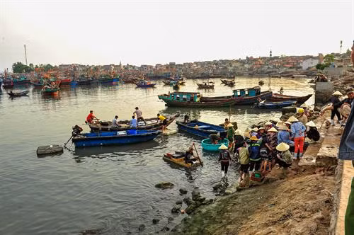 Cá khô được người dân đánh bắt về chế biến, phơi khô trên khắp các lối đi mỗi thôn xóm. Ảnh: Trọng Đạt - TTXVN Cá khô được người dân đánh bắt về chế biến, phơi khô trên khắp các lối đi mỗi thôn xóm. Ảnh: Trọng Đạt - TTXVN Bến thuyền tấp nập mỗi khi cá về vào buổi sáng hoặc chiều trên đảo Nghi Sơn. Ảnh: Trọng Đạt - TTXVN Một góc bến thuyền trên xã đảo Nghi Sơn và khu vực cầu cảng nước sâu Nghi Sơn. Ảnh: Trọng Đạt - TTXVN Bến thuyền tấp nập mỗi khi cá về vào buổi sáng hoặc chiều trên đảo Nghi Sơn. Ảnh: Trọng Đạt - TTXVN Một góc xã đảo Nghi Sơn bên biển xanh thơ mộng. Ảnh: Trọng Đạt - TTXVN Bến thuyền trên xã đảo Nghi Sơn. Ảnh: Trọng Đạt - TTXVN Nhộn nhịp bến thuyền trên xã đảo Nghi Sơn. Ảnh: Trọng Đạt - TTXVN Chiều về trên cảng cá Nghi Sơn. Ảnh: Trọng Đạt - TTXVN