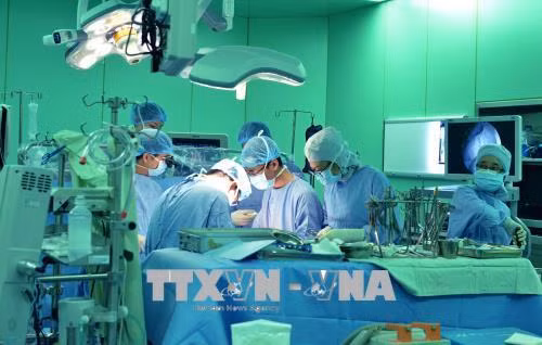 Một ca phẫu thuật thay van tim cho bệnh nhân bằng kỹ thuật tái tạo van động mạch chủ với vật liệu tự thân (còn gọi là kỹ thuật Ozaki) tại Bệnh viện Đại học Y Dược Thành phố Hồ Chí Minh. Ảnh: Phương Vy-TTXVN
