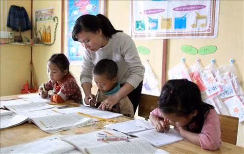 Trong giờ học của học sinh lớp ghép 2 và 3. Ảnh: Quốc Khánh - TTXVN