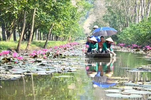 Hoa súng nở rộ trên dòng suối Ấu đã thu hút nhiều du khách gần xa, nhất là những người đam mê chụp ảnh. Ảnh: Hoa Mai - TTXVN