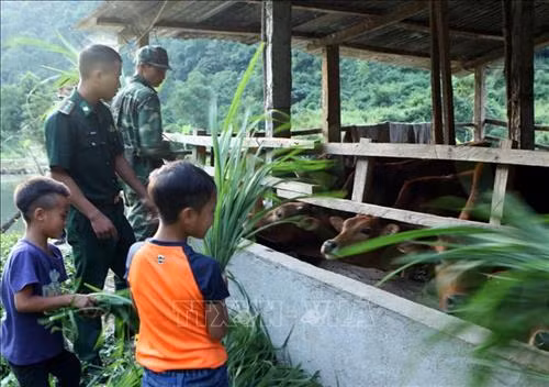 Cán bộ, chiến sĩ biên phòng cùng trẻ em chăm sóc đàn bò. Ảnh: Việt Hoàng – TTXVN