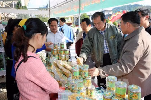 Các du khách đến tìm hiểu và mua trà hoa vàng. Ảnh: Nguyễn Hoàng - TTXVN