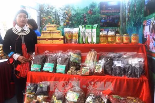 Nhiều mặt hàng nông sản của các mô hình đoàn viên thanh niên trẻ Hà Giang giới thiệu tại Diễn đàn. Ảnh: Minh Tâm-TTXVN