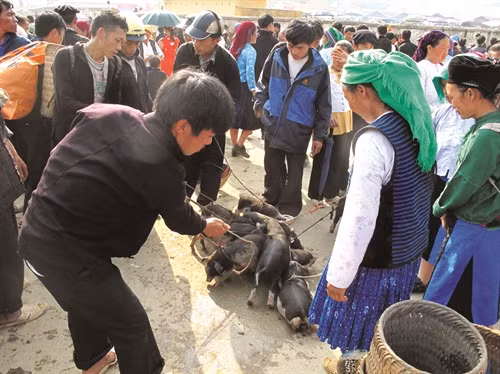 Nhộn nhịp phiên chợ cuối năm ở vùng cao Hà Giang.