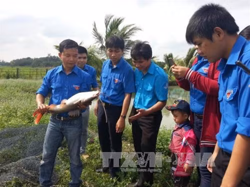 Anh Nguyễn Trung Hiếu chia sẻ kinh nghiệm khởi nghiệp từ nuôi cá với đoàn viên, thanh niên. Ảnh: Thu Hoài – TTXVN