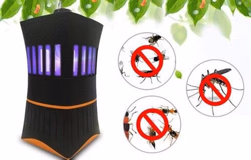 4 cách đuổi muỗi trong phòng ngủ cực kỳ hiệu quả mà lại dễ làm ảnh 3