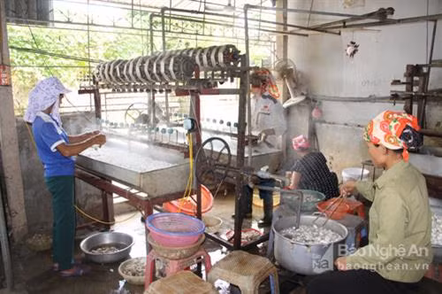 Tằm - đặc sản hút khách ở một làng nghề xứ Nghệ ảnh 3