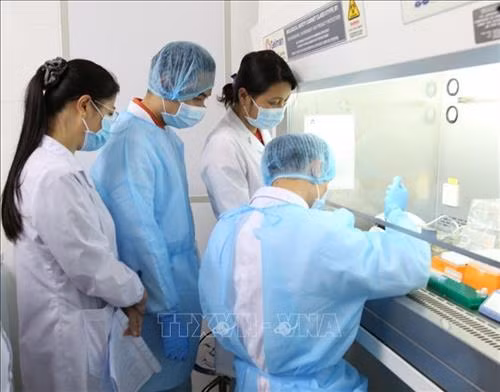 Cán bộ các tỉnh phía Bắc thực hành tại phòng tách chiết mẫu bệnh phẩm, Trung tâm kiểm soát bệnh tật tỉnh Yên Bái. Ảnh: Đức Tưởng – TTXVN