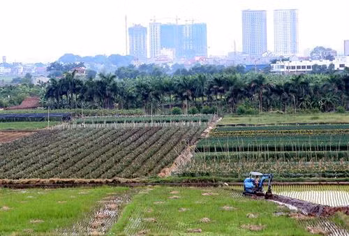 Ngành nông nghiệp Hà Nội tổ chức Hội nghị tổng kết công tác năm 2017, triển khai nhiệm vụ năm 2018 ảnh 4