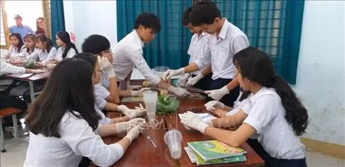 Các em thực hành theo nhóm học cách làm thuốc trừ sâu không gây hại đến môi trường trong giờ Sinh học. Ảnh: Lê Xuân-TTXVN