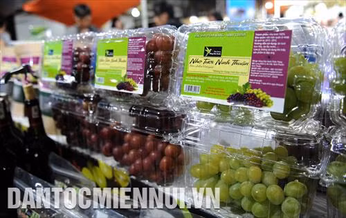 Các gian hàng nho được giới thiệu tại Hội chợ công thương Ninh Thuận 2019
