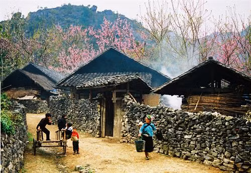 Cuộc sống thường nhất của người dân Cao nguyên đá Đồng Văn. Ảnh: Thanh Hà Chợ Đồng Văn, nơi giao lưu trao đổi hàng hóa. Ảnh: Thanh Hà Cuộc sống thường nhất của người dân Cao nguyên đá Đồng Văn. Ảnh: Thanh Hà Cột cờ Lũng Cú trên cao nguyên Đồng Văn. Ảnh: Thanh Hà Người dân Cao nguyên đá chắt chiu những giọt nước quý giá cho cuộc sống . Ảnh: Thanh Hà Cảnh đẹp của cánh đồng hoa Tam giác mạch nở rộ hai bên đường trên đường dẫn vào huyện Lũng Cú, nơi có địa danh du lịch nổi tiếng quốc gia Cột cờ Lũng Cú. Ảnh: Trọng Đạt Trẻ em vùng cao biên giới Cao nguyên đá Đồng Văn hàng ngày đến trường qua nhiều vách đá treo neo. Ảnh: Thanh Hà