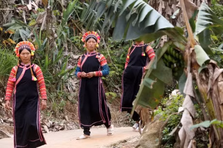 Người La Hủ hay còn gọi là Xá Lá Vàng, Cò Xung, Khù Sung, Khả Quy... hiện có khoảng 10.000 người, sinh sống chủ yếu ở đầu nguồn sông Đà, thuộc huyện Mường Tè, tỉnh Lai Châu. Tuy cuộc sống còn nhiều khó khăn, song đồng bào La Hủ nơi đây vẫn chú trọng gìn giữ bản sắc văn hóa truyền thống, nhất là phụ nữ mặc áo dài tà đen làm nổi bật vóc dáng. Phơ cơ zỡ – tiếng La Hủ có nghĩa là áo dài. Người La Hủ ở Mường Tè thường mặc áo dài tà đen. Các họa tiết, hoa văn... trên mỗi bộ trang phục phụ nữ La Hủ nói lên sự gắn bó giữa cơ thể con người trong sự vận động của cuộc sống với thiên nhiên. Áo dài của người La Hủ ngoài việc mặc ôm sát làm nổi bật đường cong của cơ thể người phụ nữ, còn đẹp ở cách phối màu sắc, cách trang trí và kỳ công của người làm. Mỗi người con gái La Hủ khi đến tuổi thành niên đều tự ý thức may cho mình một chiếc áo dài. Con gái La Hủ thường mặc loại áo cánh tay có nhiều sắc đỏ thể hiện sức sống tươi trẻ và niềm tin yêu cuộc sống. Do hoàn toàn được làm thủ công, nên thời gian để người La Hủ may một chiếc áo dài có khi mất cả tháng mới xong. Duyên dáng thiếu nữ dân tộc La Hủ. Cao nhất trên đầu là vành khăn trang trí với 5 màu sắc. Khăn quấn đầu chủ yếu được làm bằng vải đủ màu và hạt cườm rủ xuống, tạo nét khả ái cho khuôn mặt của người phụ nữ. Để có được bộ trang phục, khăn đội đầu đẹp, đòi hỏi ý tưởng sáng tạo nghệ thuật của người làm. Màu sắc chủ đạo được phối ở cánh tay và điểm xuyết bạc trắng ở thân áo. Làm đẹp cho thân áo còn có sự kết hợp của các hoa văn làm bằng nhôm hình tròn, hình tam giác. Một chiếc áo đẹp còn ở cách trang trí, bài trí những đường diềm tỉ mỉ trên thân áo, tay áo nổi bật lên trên nền vải đen với nhiều màu chỉ đen, đỏ, vàng... May tay áo là công đoạn chiếm nhiều thời gian nhất, có thể tận dụng vải cũ làm lớp lót bên trong, phía ngoài được may ngược. Một ngày với người phụ nữ La Hủ được bắt đầu bằng việc vận trang phục và công đoạn lâu nhất là bện tóc, bọc bằng sợi dây vải màu hồng. Mũ đội đầu Người La Hủ khâu ngực áo rất cẩn thận, đây là công đoạn tách rời những đường viền xếp chồng lên nhau của các loại vải. Việc này không chỉ thể hiện sự khéo léo của những người phụ nữ, mà còn là một trong những nét đẹp trong văn hóa truyền thống của người La Hủ. Vòng quấn đầu được làm từ cây song, mây trên rừng và được điểm tô bằng những chiếc ghim nhôm trang trí. Trang phục truyền thống dân tộc La Hủ đang có nguy cơ mai một, do những thách thức từ điều kiện kinh tế - xã hội.. ...Và việc đồng hóa giữa các dân tộc về phong tục, trang phục. Lớp trẻ dân tộc La Hủ ngày nay thường tự ti khi mặc áo dài dân tộc mình.