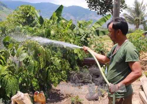 Có điện, người dân xã căn cứ cách mạng Yang Mao, huyện Krông Bông thuận tiện hơn trong việc trồng và chăm sóc cây trồng, vật nuôi. Ảnh: Phạm Cường-TTXVN