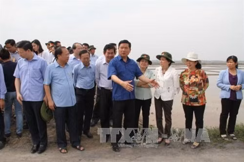 Bí thư Thành ủy Thành phố Hồ Chí Minh Đinh La Thăng đi khảo sát thực tế tại huyện Cần Giờ. Ảnh: Nguyễn Chung - TTXVN