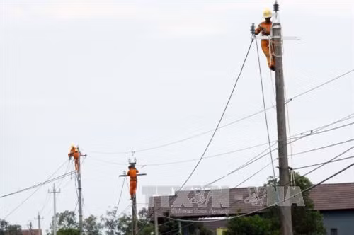 Công nhân Công ty điện lực Quảng Trị nâng cấp hệ thống lưới điện nông thôn ở huyện Vĩnh Linh. Ảnh: Hồ Cầu-TTXVN
