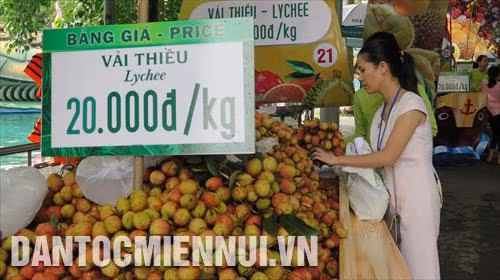 Nhiều chương trình, hoạt động đặc sắc tại Lễ hội trái cây Nam Bộ năm 2018 ảnh 4