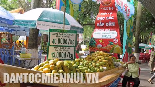 Nhiều chương trình, hoạt động đặc sắc tại Lễ hội trái cây Nam Bộ năm 2018 ảnh 3