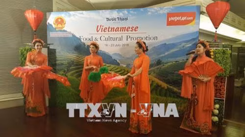 Các nghệ sỹ nhóm Hồn Việt biểu diễn tại lễ khai mạc. Ảnh: Sơn Nam - Pv TTXVN tại Thái Lan