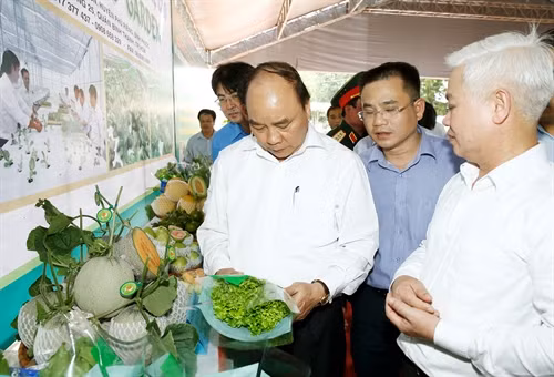 Sáng 2/1/2017, tại tỉnh Bình Phước, Thủ tướng Nguyễn Xuân Phúc đến thăm Trung tâm nông nghiệp công nghệ cao tỉnh Bình Phước. Ảnh:Thống Nhất-TTXVN
