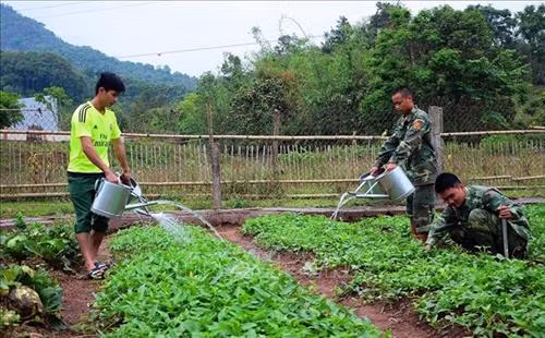 Chiến sỹ đồn Biên phòng Leng Su Sìn tăng gia sản xuất. Ảnh: Phan Tuấn Anh – TTXVN