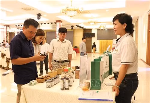 Đại biểu tham quan những sản phẩm OCOP tại Gia Lai. Ảnh: Hoài Nam – TTXVN