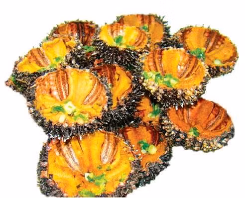 Đặc sản nhum biển Lý Sơn ảnh 3