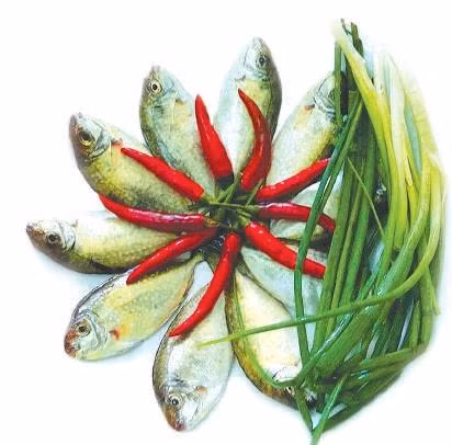 Độc đáo bánh khoái nhân cá kình ảnh 2