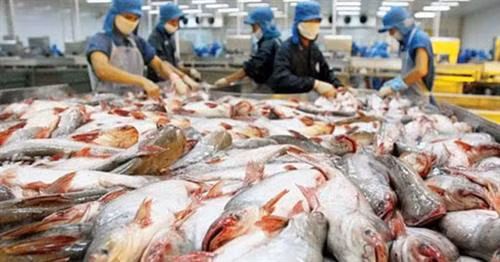 Cá tra Việt Nam đạt tiêu chuẩn hàng đầu trong siêu thị AEON ở Nhật ảnh 1