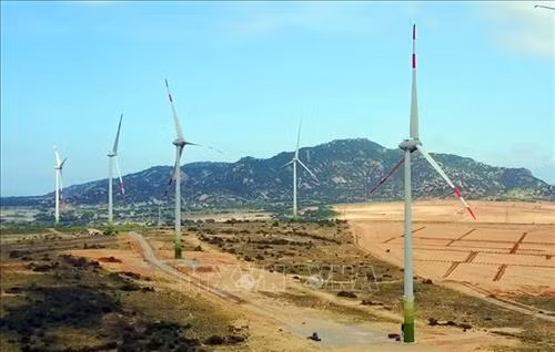 Dự án điện gió Mũi Dinh (Ninh Thuận) đi vào hoạt động, hòa lưới điện quốc gia. Ảnh: Công Thử - TTXVN