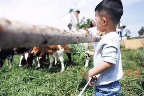 Trang trại như trời Âu ngay gần Đà Lạt ảnh 8