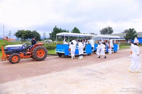 Trang trại như trời Âu ngay gần Đà Lạt ảnh 6